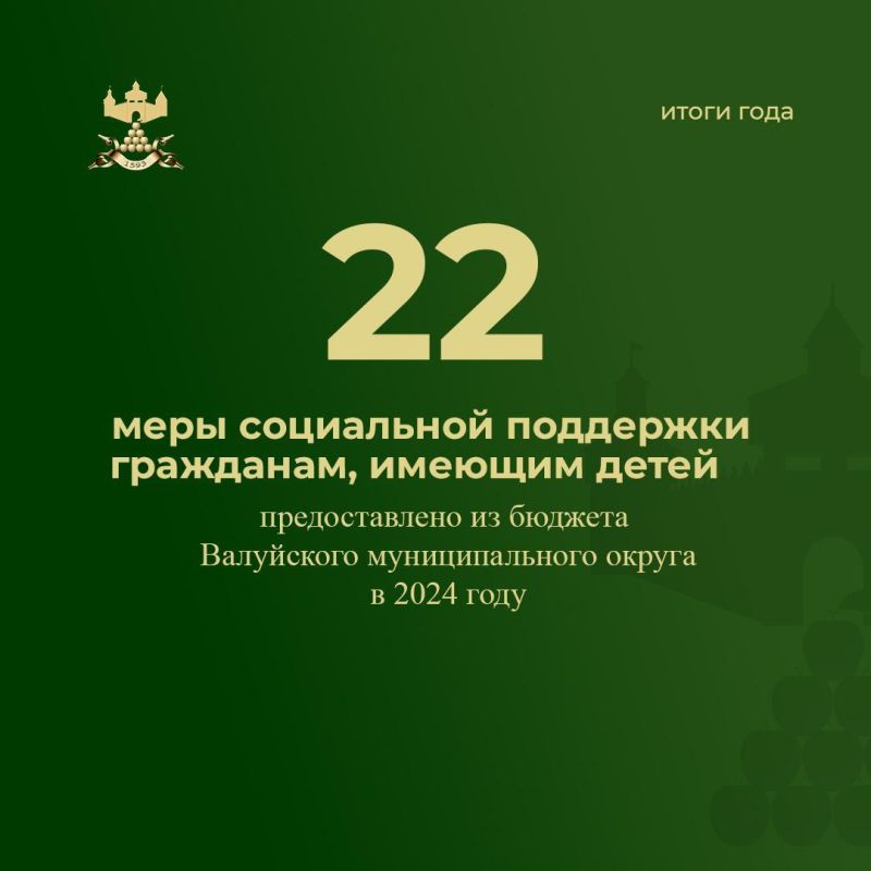 В 2024 году произведена выплата 22 мер социальной поддержки гражданам, имеющим детей