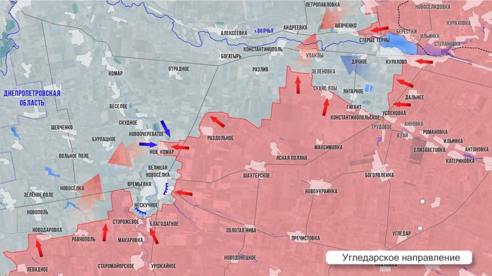 Олег Царёв: Фронтовая сводка 4 января