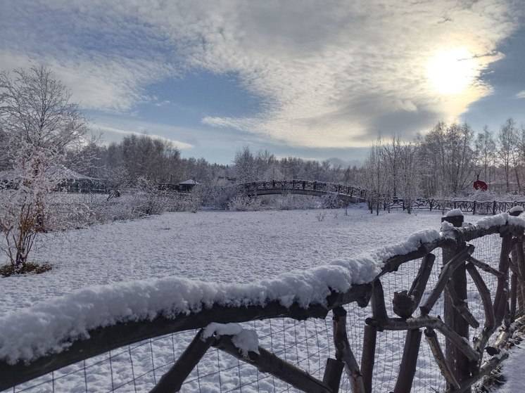 Белгородцам рассказали, какая будет погода на Старый Новый год