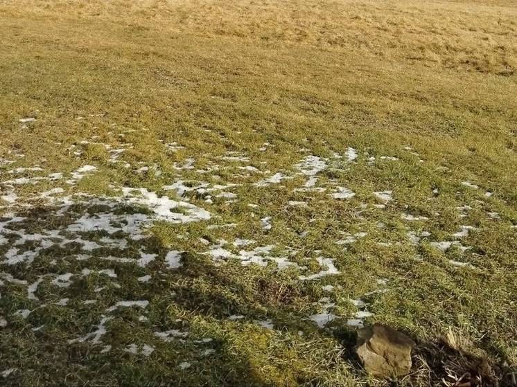 Белгородским участникам СВО рассказали, как получить бесплатную землю под ИЖС