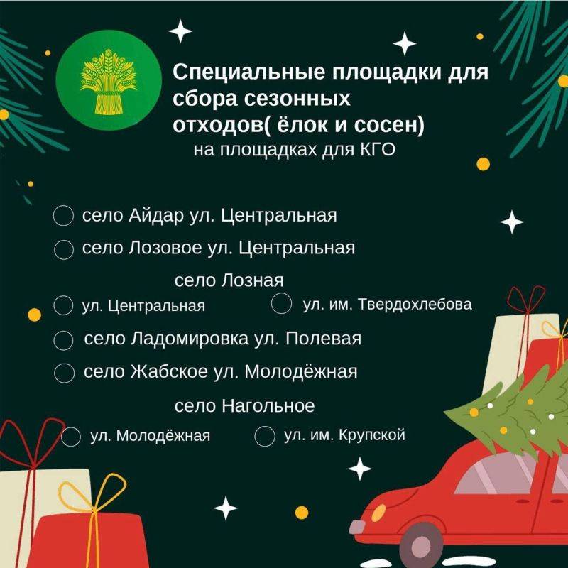 Татьяна Киричкова: Куда девать ёлку после новогодних праздников?