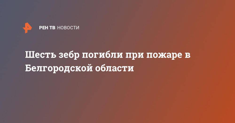 Шесть зебр погибли при пожаре в Белгородской области