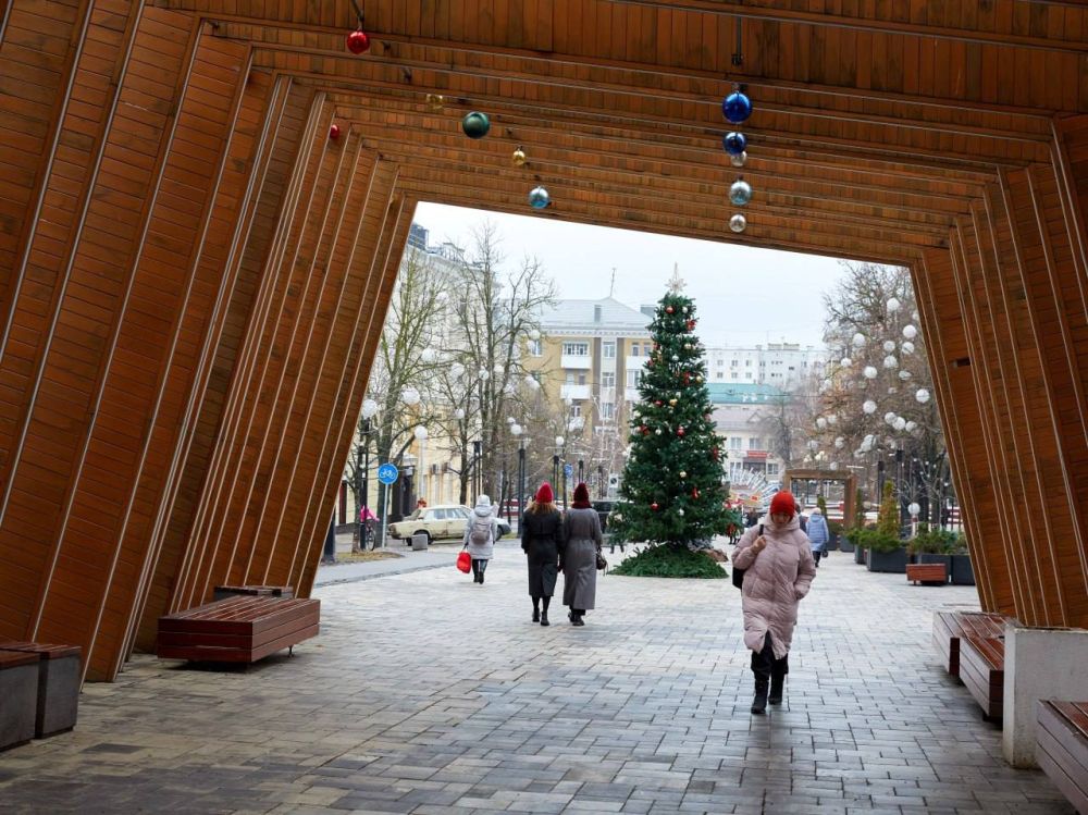 Сегодня, 3 января, в Белгороде будет пасмурно, местами дождь со снегом