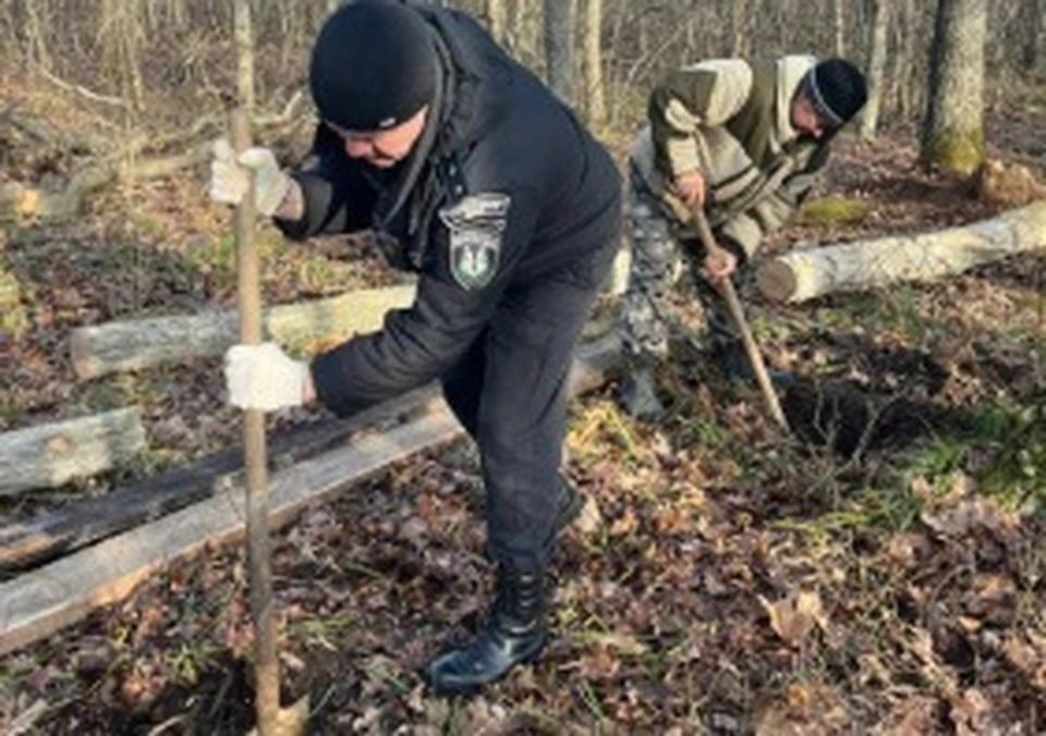 Кормушки для животных построили в заказнике «Покровский» Белгородской области0