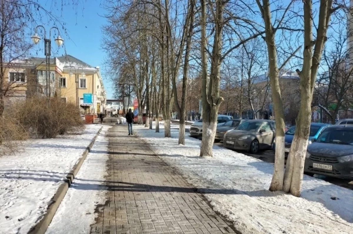 В среду в Белгородской области ожидается лёгкий мороз0