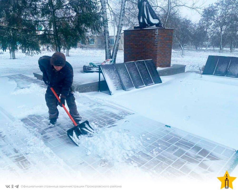 Добрый день, уважаемые прохоровцы!