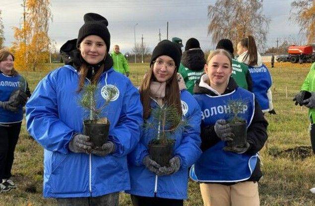 Более 245 тыс. белгородских добровольцев поучаствовали в работе по охране и воспроизводству лесов