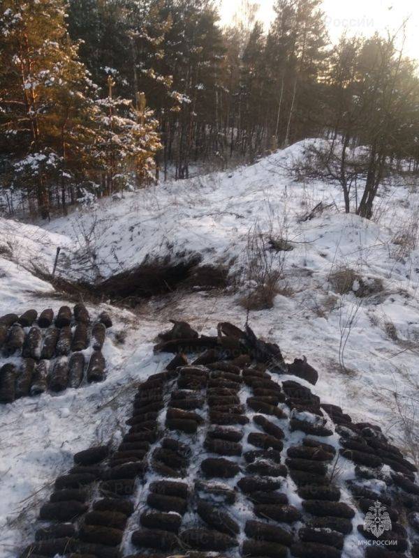 УФСБ России по Белгородской области во взаимодействии с Главным управлением МЧС России по Белгородской области проведены мероприятия по изъятию 297 боеприпасов времён Великой Отечественной войны, их безопасной...