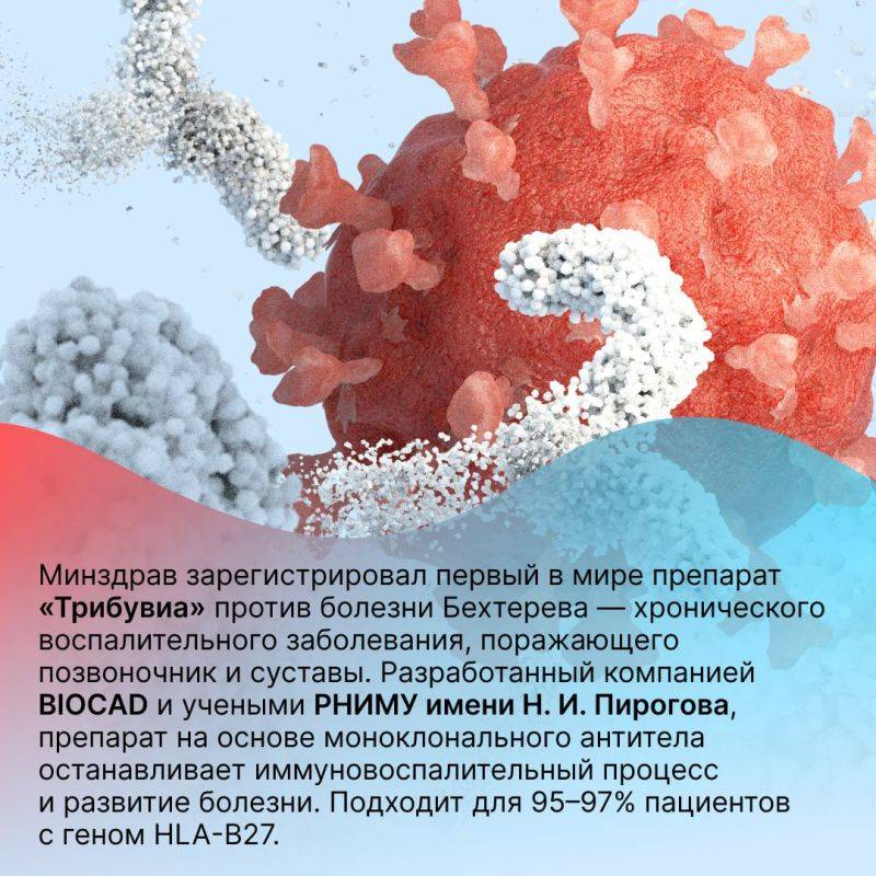 Разработки российских ученых за 2024 год в честь Дня российской науки