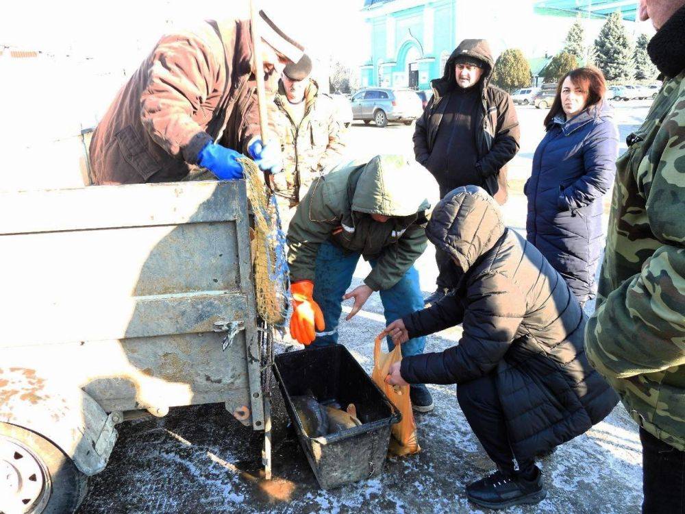 Татьяна Киричкова: В Ровеньках прошла продовольственная ярмарка