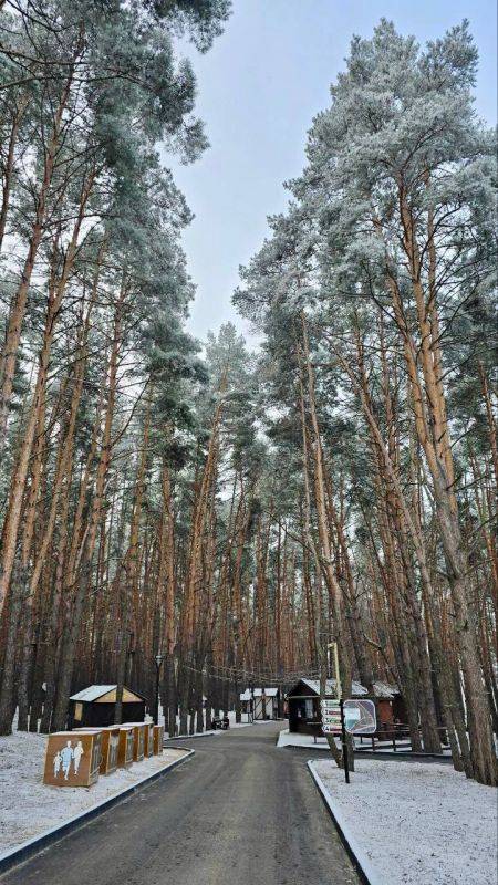 Сегодня, 9 февраля, в Белгороде будет пасмурно