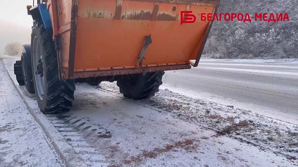 Сотрудники Белгорблагоустройства поддерживают порядок в городе в любую погоду