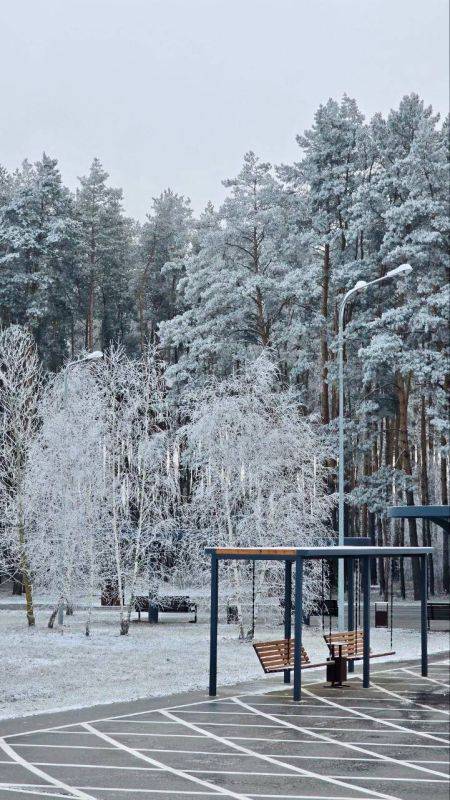 Сегодня, 9 февраля, в Белгороде будет пасмурно