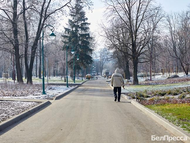 В парке Ленина в Белгороде откроют антикафе, коворкинг и «Бизнес-остров»