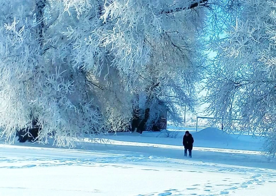 До 21 градуса мороза обещают белгородцам в ночь на 25 февраля0