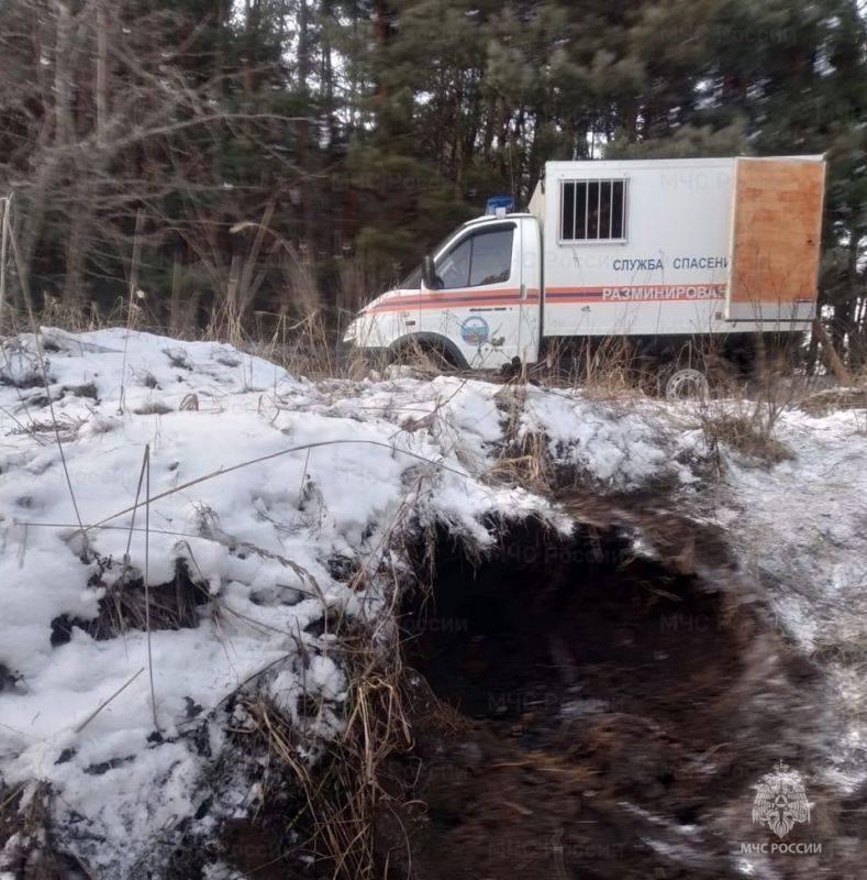 УФСБ России по Белгородской области во взаимодействии с Главным управлением МЧС России по Белгородской области проведены мероприятия по изъятию 297 боеприпасов времён Великой Отечественной войны, их безопасной...