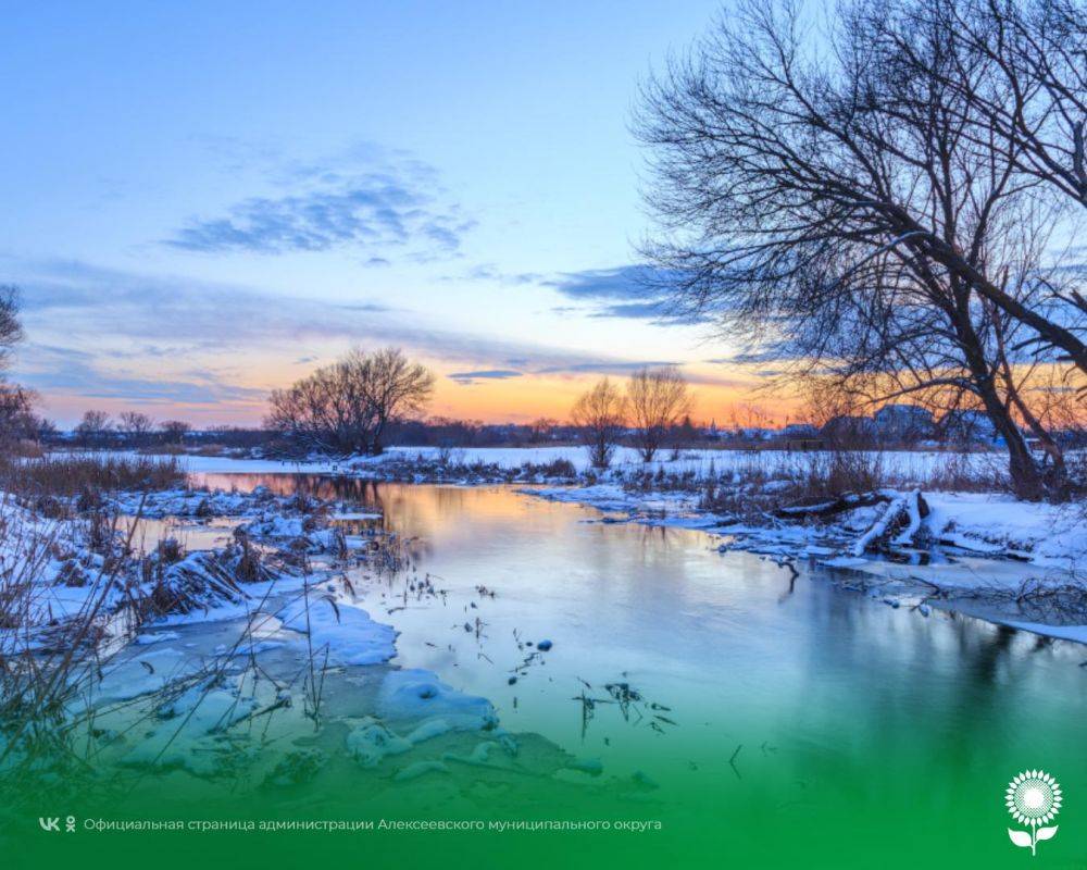 9 февраля. Температура воздуха -5°C, переменная облачность, без осадков