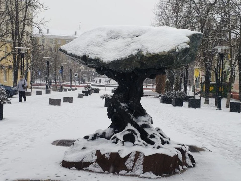 Последняя неделя февраля выдастся в Белгородской области морозной0