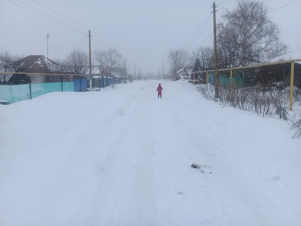 Снег и -19 градусов ожидаются в Белгородской области 20 февраля0