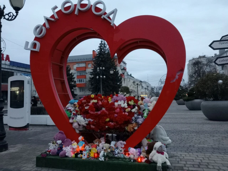 В Белгороде на месте «Раненого Сердца» установят мемориал в память о погибших жителях0