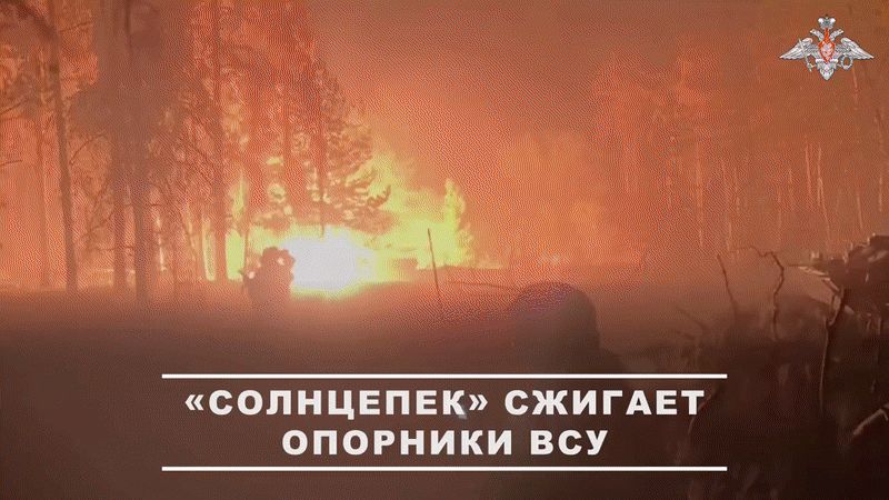 Атака на Белгородскую область: Запасной план Зеленского по курскому сценарию