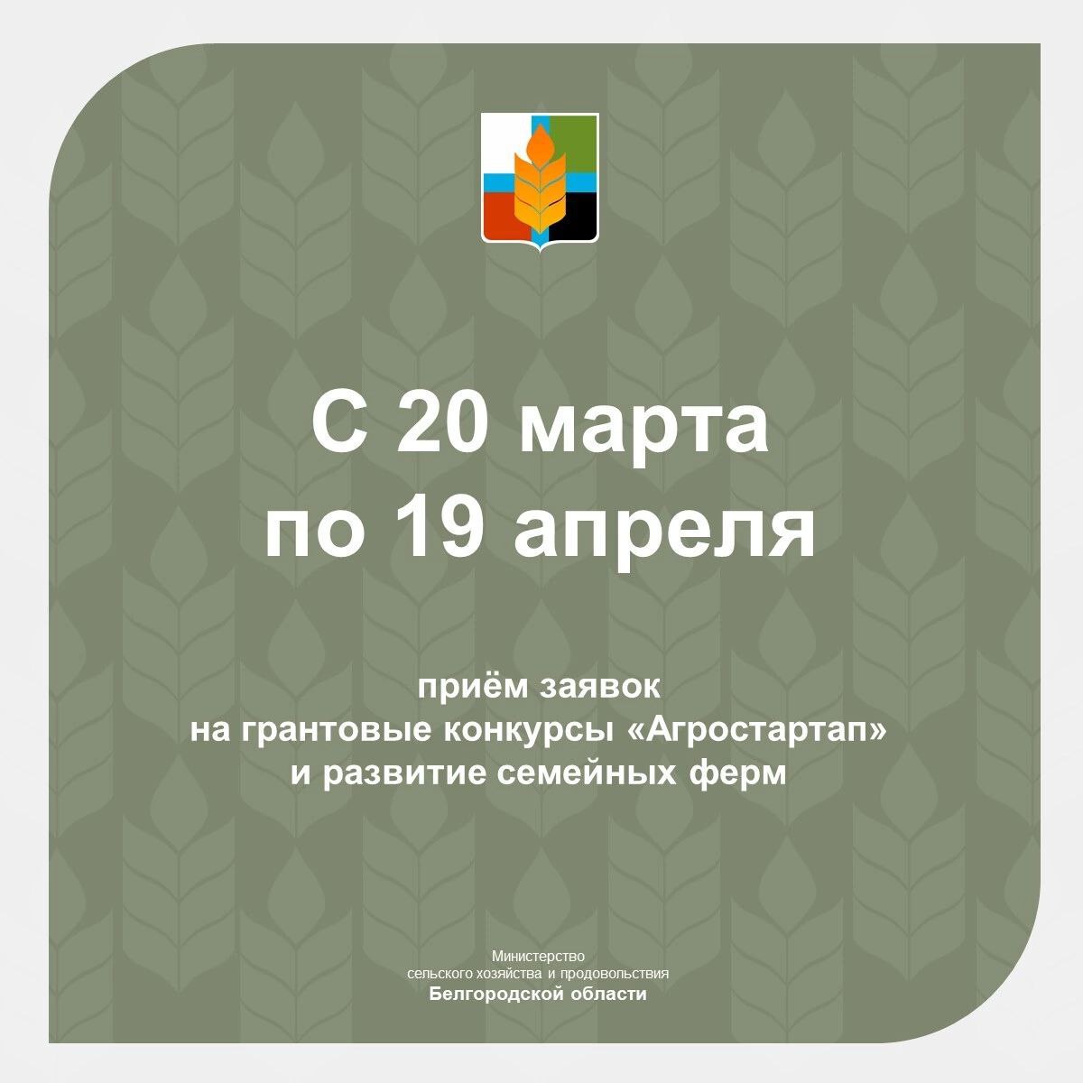 В Белгородской области стартовал приём заявок на грантовые конкурсы «Агростартап» и развитие семейных ферм