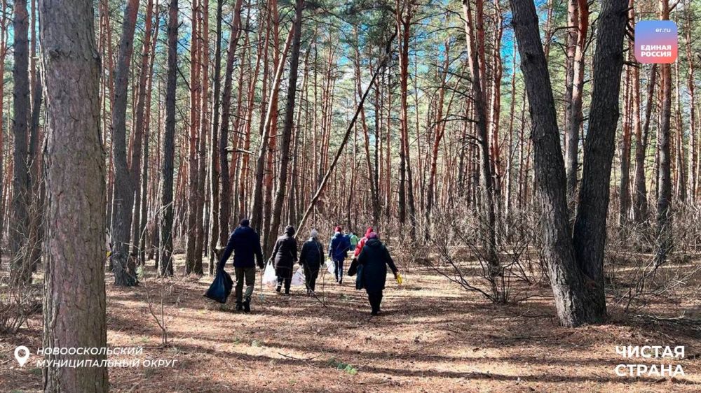 В рамках партийного проекта «Чистая страна» в Белгородской области прошли весенние субботники