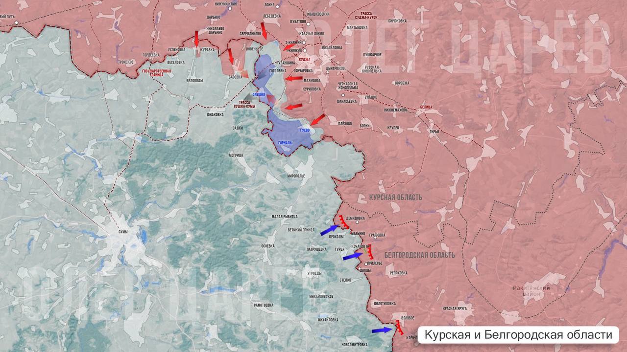 Олег Царёв: О ситуации в Курской и Белгородской областях 23 марта