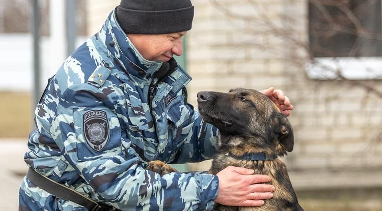 «Через принуждение и насилие ничего не выйдет. Пёс просто бояться будет, и всё. Должен сформироваться тандем человек – собака»