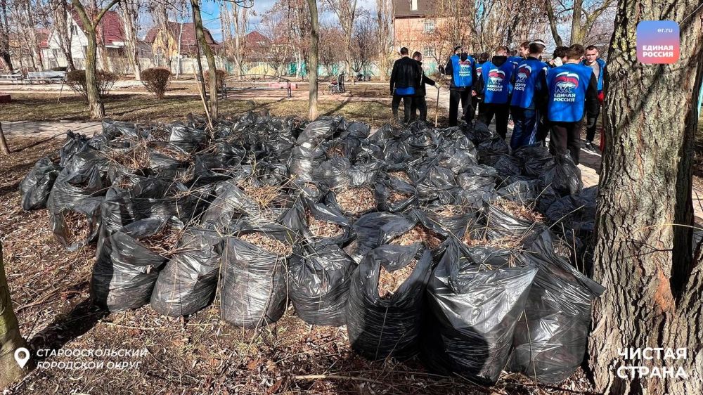 В рамках партийного проекта «Чистая страна» в Белгородской области прошли весенние субботники