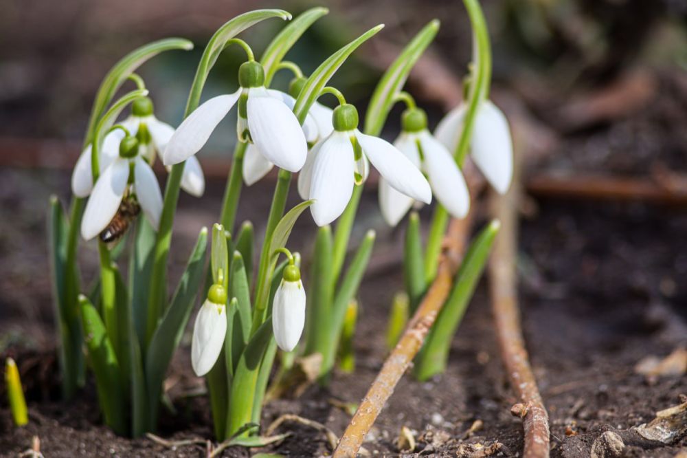 Погода 11 марта. Сегодня будет облачно с прояснением. Температура днём +8°...+13°, ночью до +8°. Ветер южный, до 6 м/с