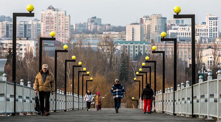 В Белгородской области за пять лет число наркоманов сократилось на 20 %