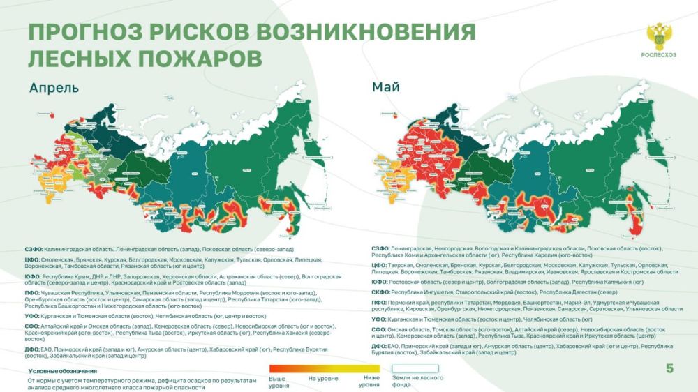 Глава Рослесхоза призвал граждан соблюдать пожарную безопасность в лесах