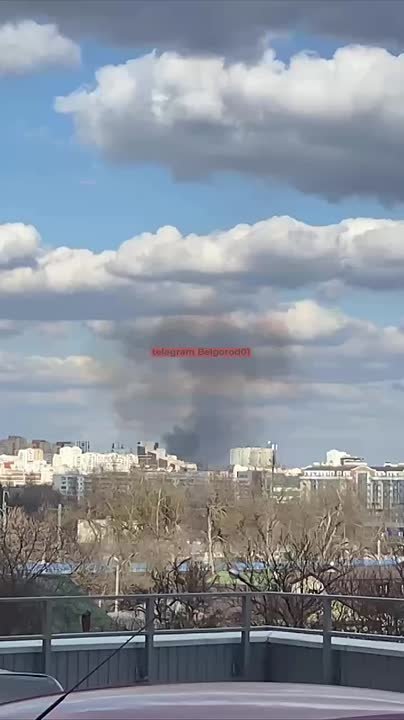 В районе улицы Корочанской в Белгороде загорелся камыш