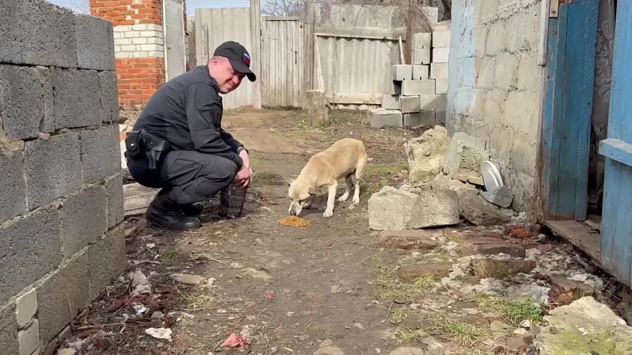 Белгородские полицейские подкармливают животных в приграничье