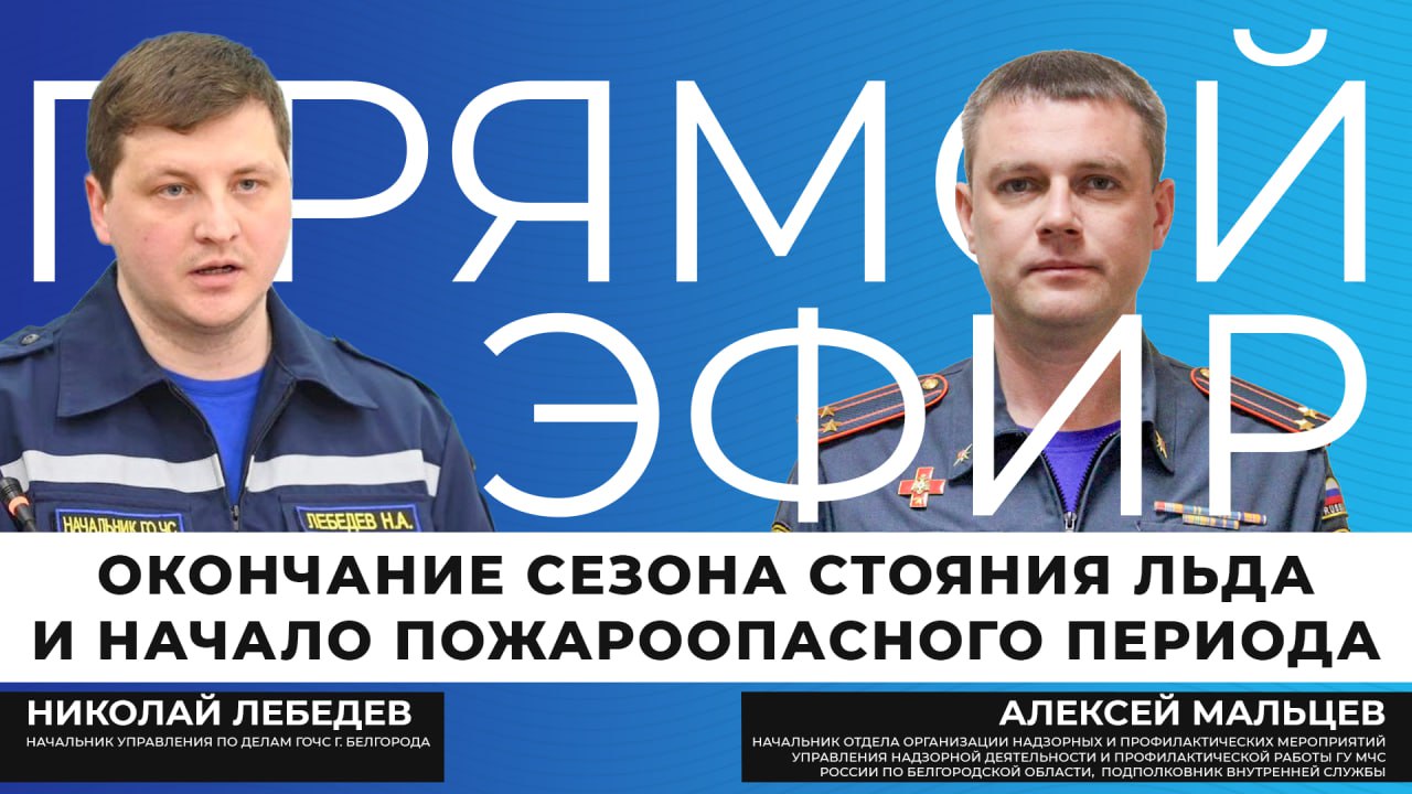 В этом году ранняя весна подарила белгородцам больше поводов проводить время на природе