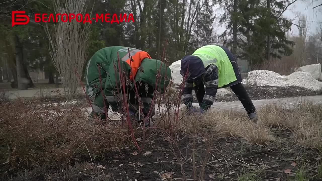 В Белгород постепенно приходит весна, синоптики сообщают о потеплении