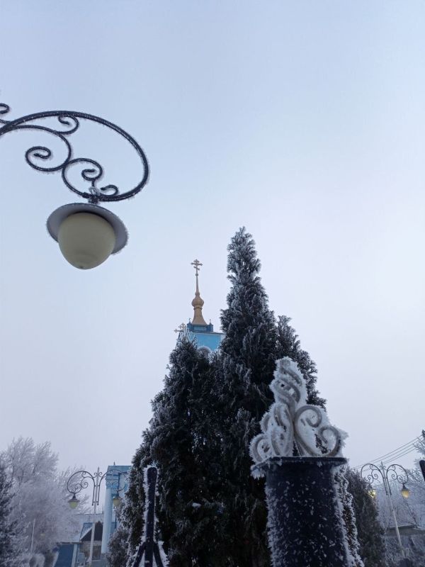 &quot;Зимний день&quot; в строках вейделевского поэта