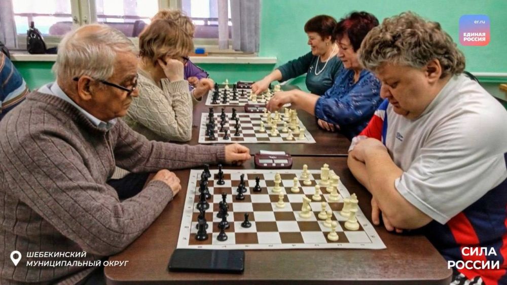 В рамках Всероссийского марафона «Сила России» сторонники партии провели шахматный турнир