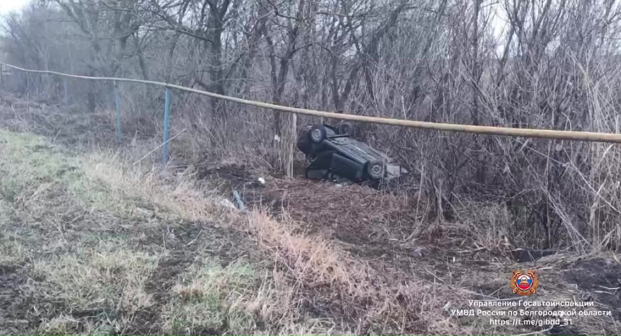 В Валуйском округе машина съехала в кювет и перевернулась