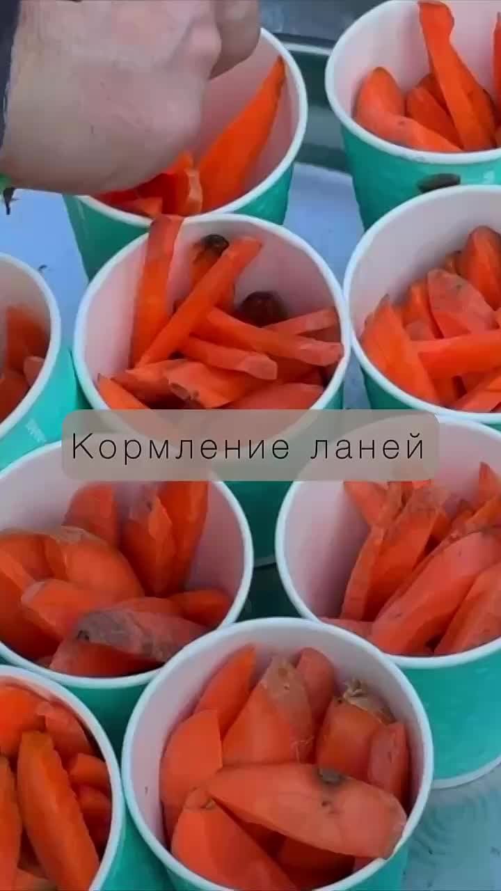 Начинаем неделю с милоты