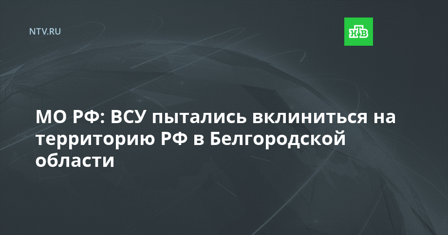 МО РФ: ВСУ пытались вклиниться на территорию РФ в Белгородской области