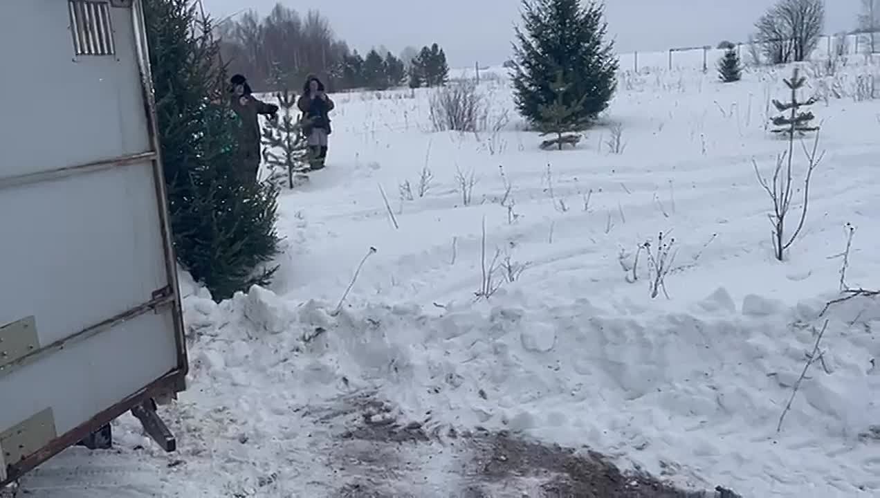 Олени из белгородского приграничья переехали в Кировскую область