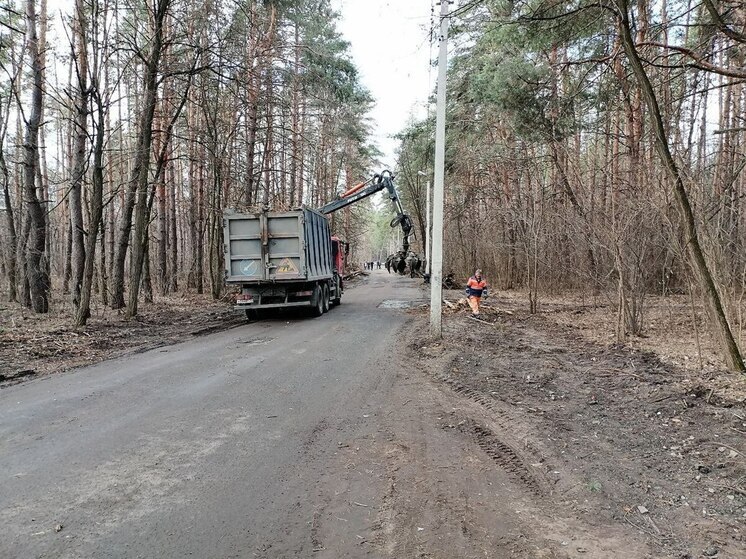 Белгородские коммунальщики готовят леса к пожароопасному периоду