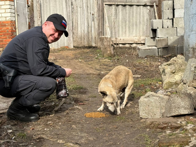 В Белгородском районе полицейские в рамках акции «День добрых дел» в очередной раз навестили четвероногого подопечного