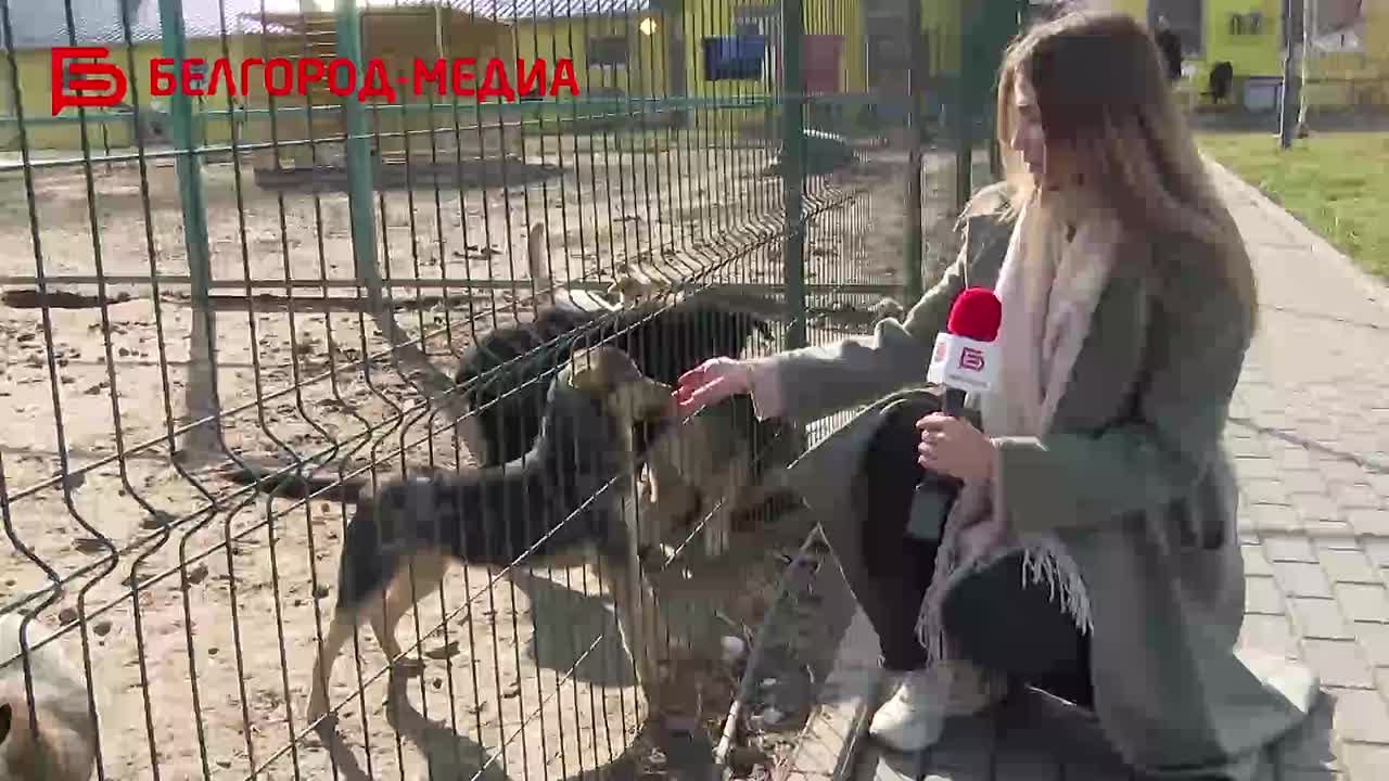 Белгородские полицейские привезли угощения питомцам приюта «Лучик надежды»