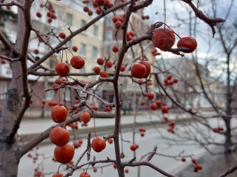 Сегодня, 7 марта, будет переменная облачность