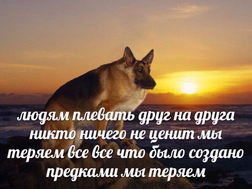 Дмитрий Стешин: Единственный итог укропской манифестации в Белгородской области - выполнение Трампом новых американских обязательств перед Украиной