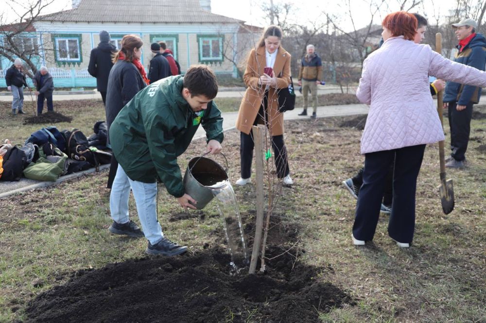 Татьяна Круглякова: В Весёлой Лопани высадили «Аллею памяти»