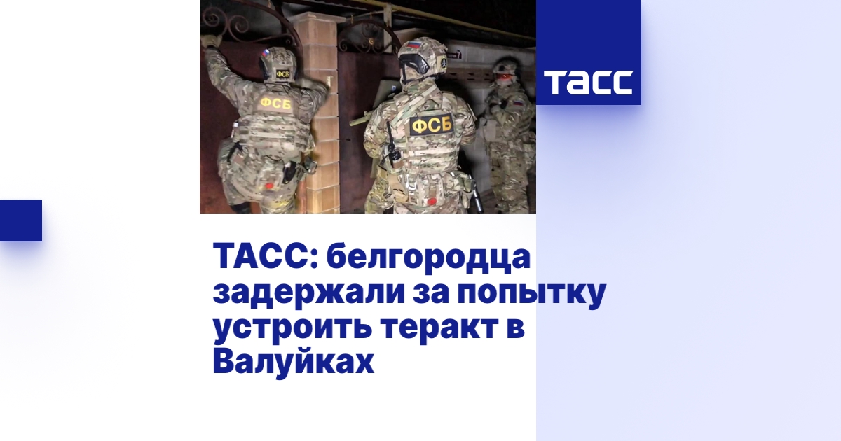 ТАСС: белгородца задержали за попытку устроить теракт в Валуйках